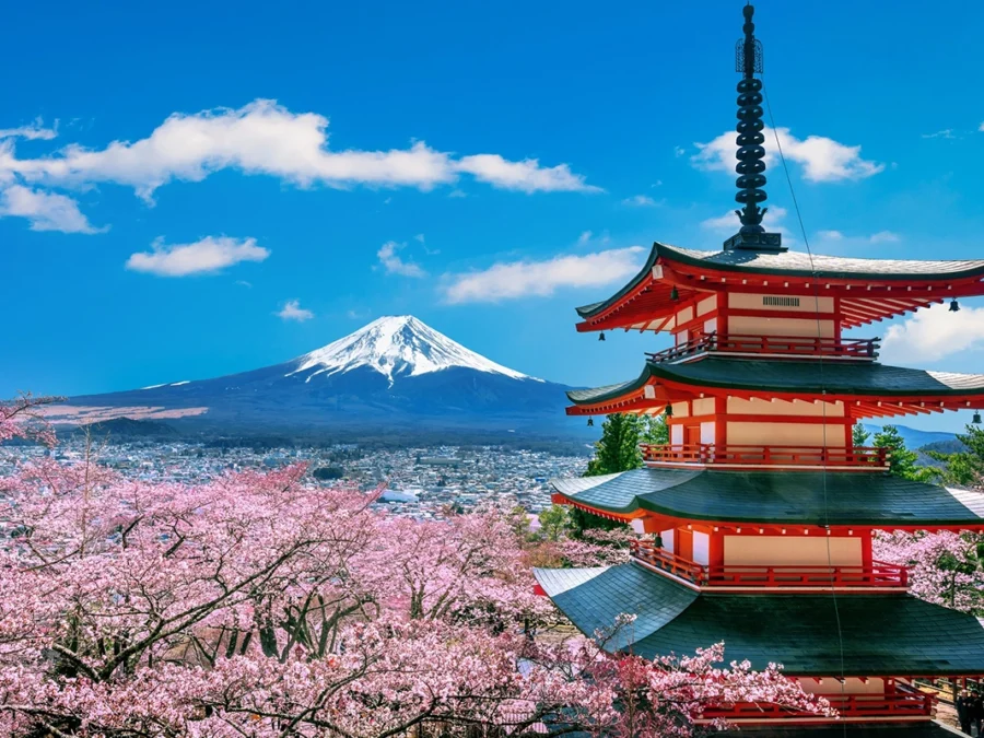 Cherry blossoms in spring, chureito pagoda and fuji mountain in japan.