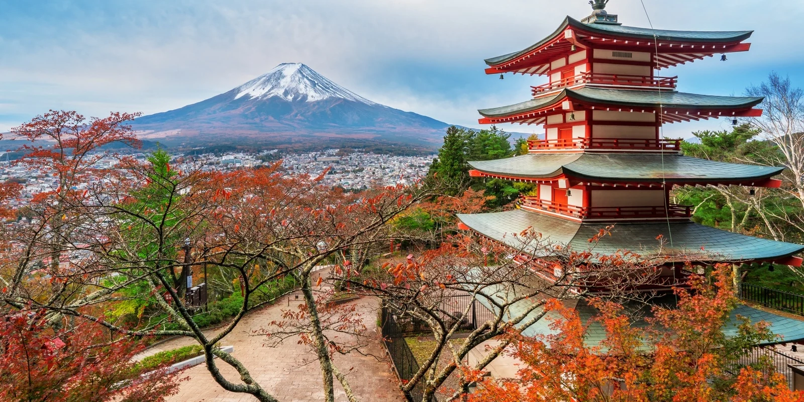 Japan Special Tour