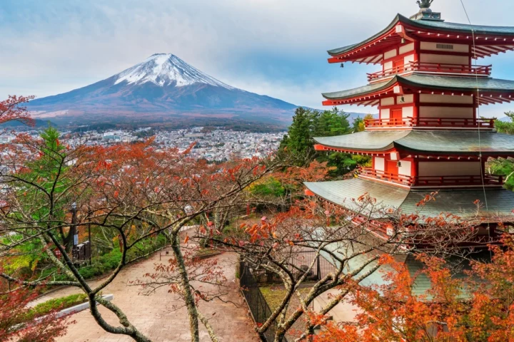 Japan Special Tour