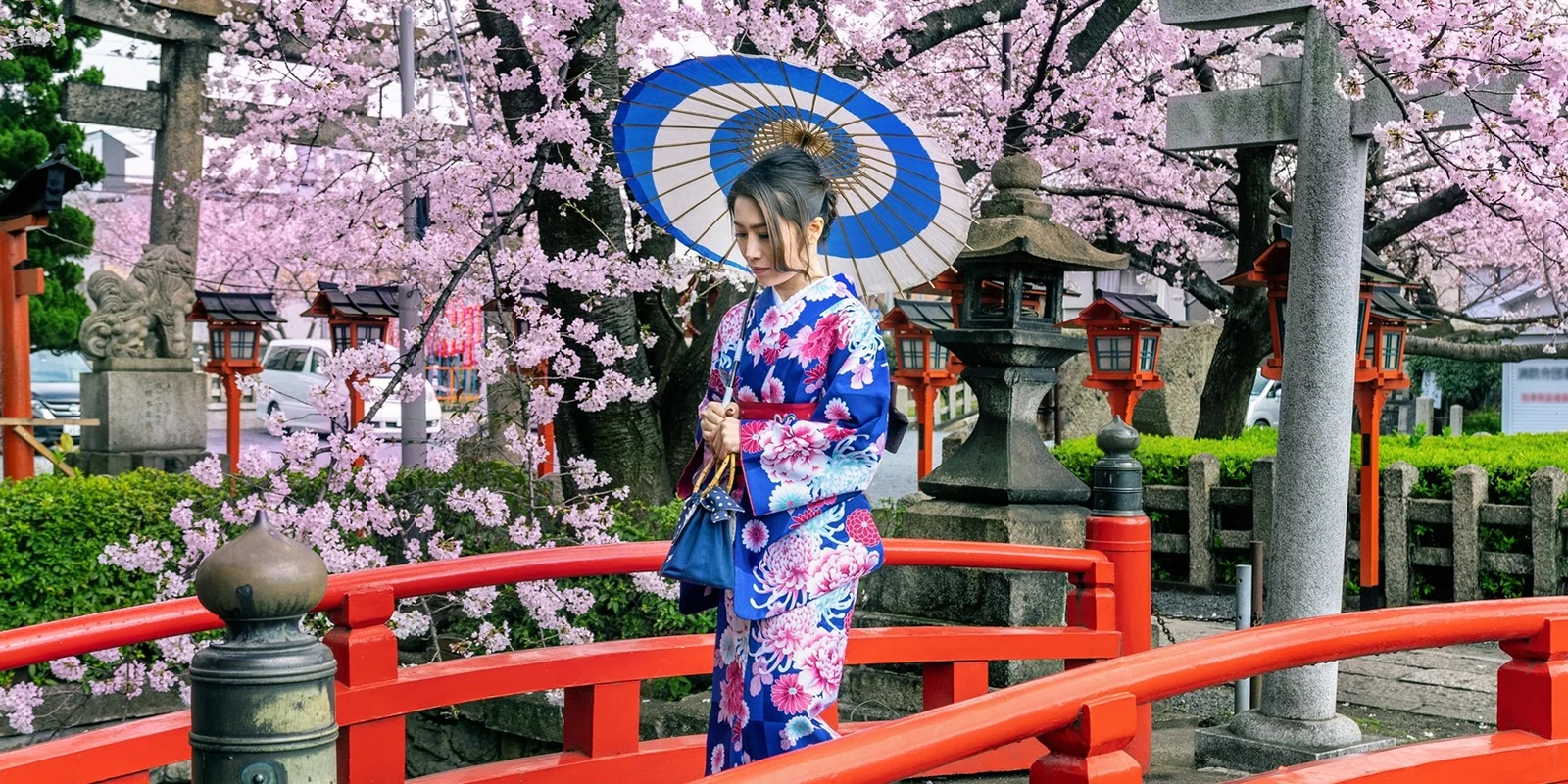 4 Day Japan Special Tour