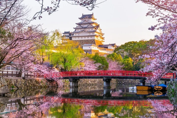 5 Day Trip to Osaka