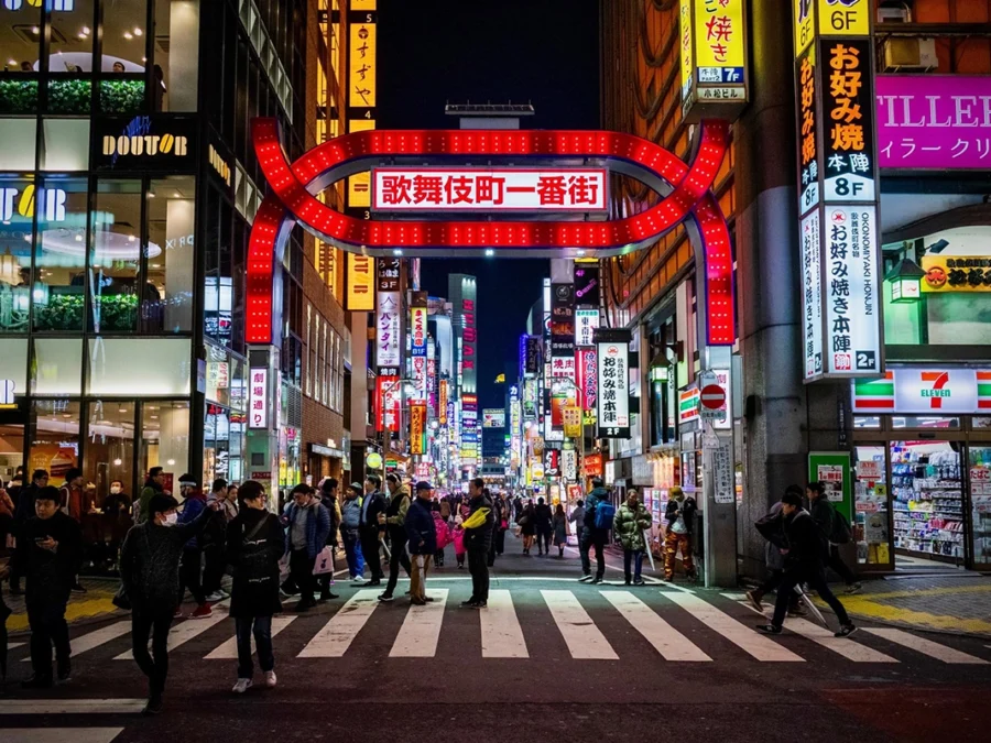 Shinjuku Skyscrapers